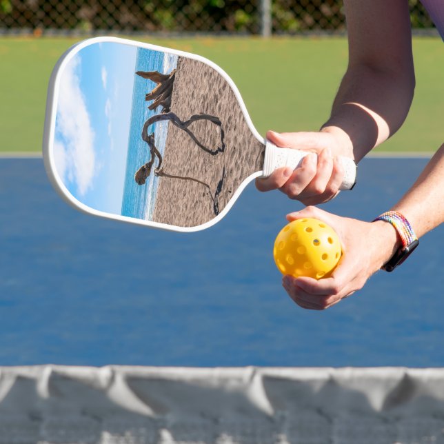 Raquette De Pickleball Évolution (Insitu)