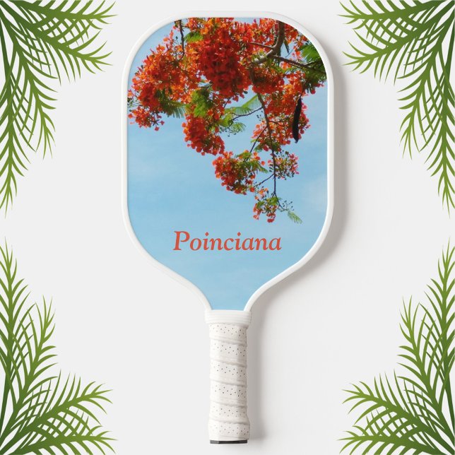 Raquette De Pickleball Flamboyant Royal Poinciana Botanique Floral (Créateur téléchargé)