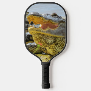 Raquette De Pickleball Floride faune American Alligator portrait