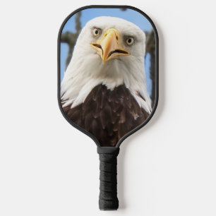 Raquette De Pickleball Funny Bald Eagle Visage Faune Photographie