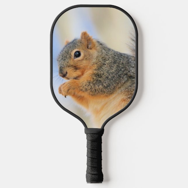Raquette De Pickleball Furball d'aujourd'hui (Recto)