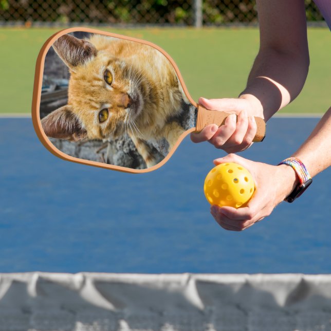 Raquette De Pickleball Golden Eyes (Insitu)