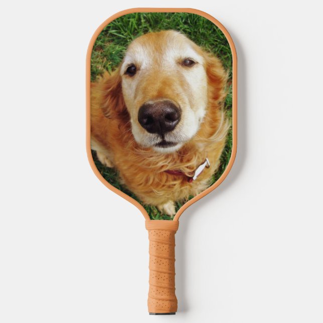 Raquette De Pickleball Golden Retriever (Recto)
