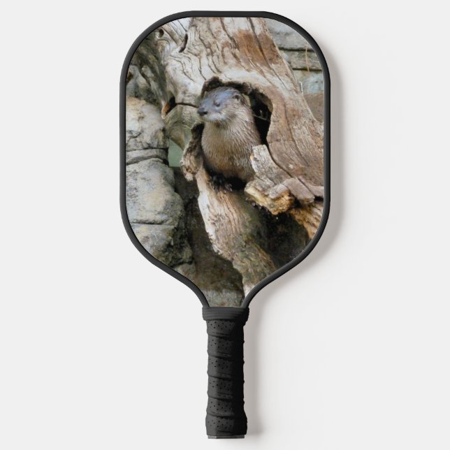 Raquette De Pickleball Harry Otter (Recto)