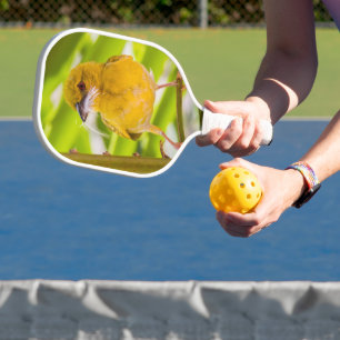 Raquette De Pickleball Il est temps de construire le nid