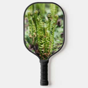 Raquette De Pickleball Jeune fougère qui s'éveille dans le jardin puzzle
