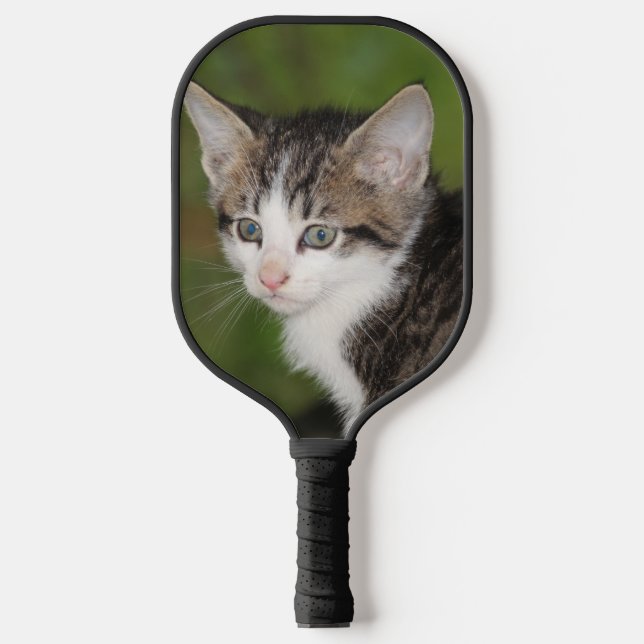 Raquette De Pickleball Kitten (Recto)