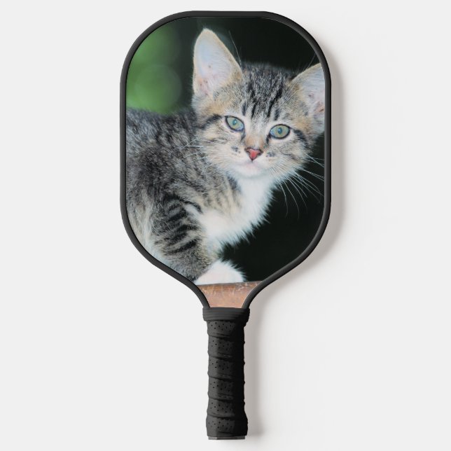 Raquette De Pickleball Kitten (Recto)