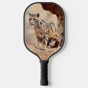 Raquette De Pickleball léopard nébuleux image nature faune exotique