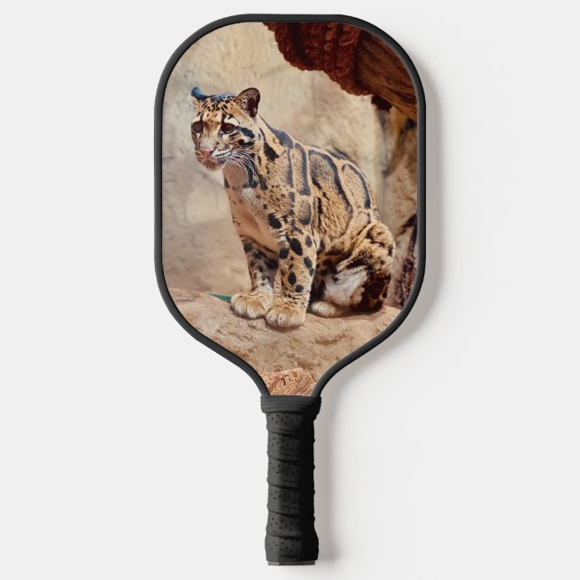 Raquette De Pickleball léopard nébuleux image nature faune exotique (Recto)