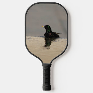 Raquette De Pickleball Little Bird