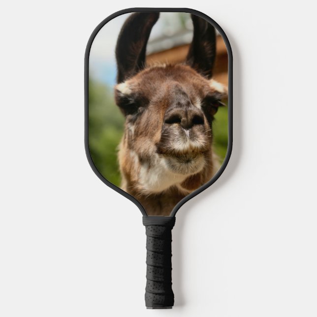 Raquette De Pickleball Llamas (Recto)