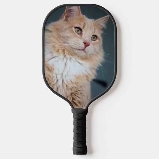 Raquette De Pickleball M. Handsome (Recto)