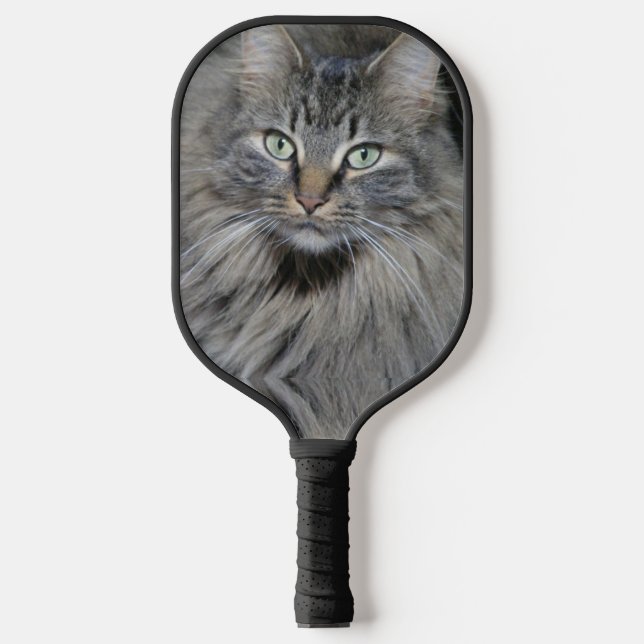 Raquette De Pickleball Main Coon Cats Eyes (Recto)