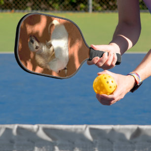 Raquette De Pickleball Meerkat Playtime, Pickleball Paddle