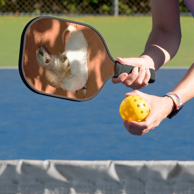 Raquette De Pickleball Meerkat Playtime, Pickleball Paddle (Insitu)