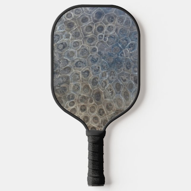 Raquette De Pickleball Michigan Petoskey Stone (Recto)