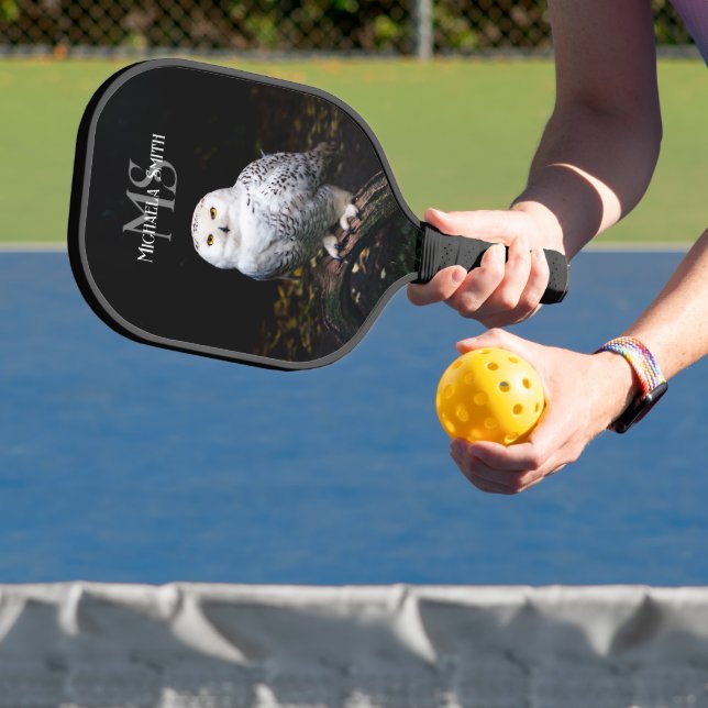 Raquette De Pickleball Monographie de hivernal majestueux hivernal (Insitu)