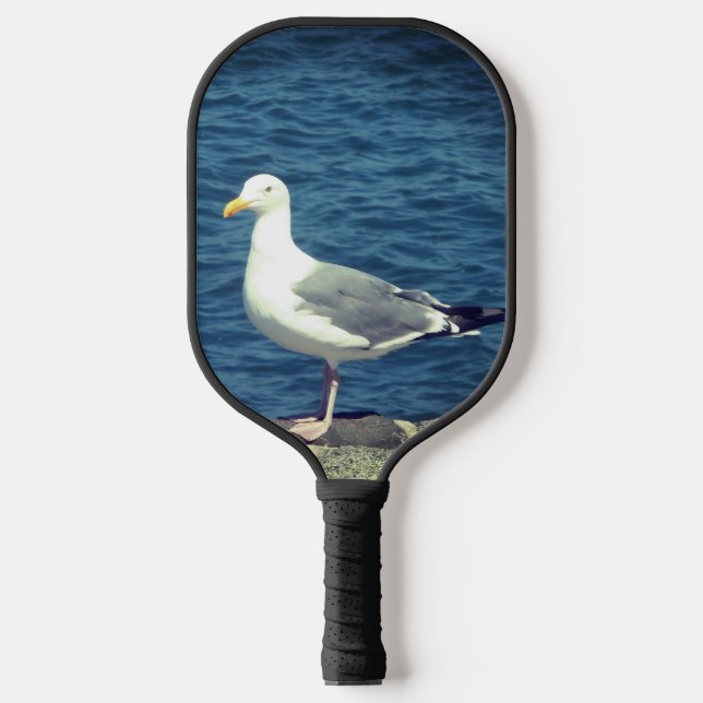 Raquette De Pickleball Mouette Sur La Baie (Recto)