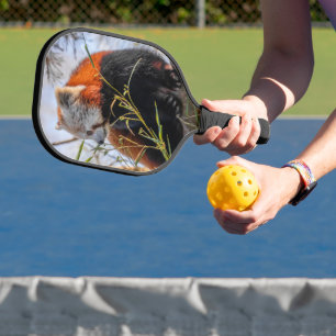 Raquette De Pickleball Panda rouge