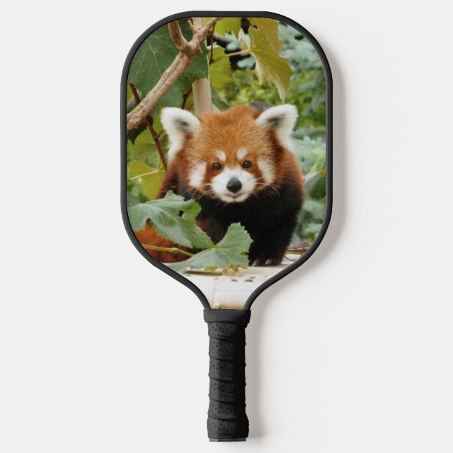 Raquette De Pickleball Panda rouge (Recto)