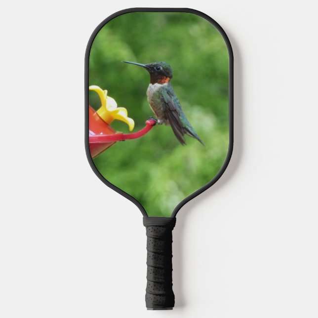 Raquette De Pickleball Photographie d'oiseau de colibri à gorge rubis (Recto)