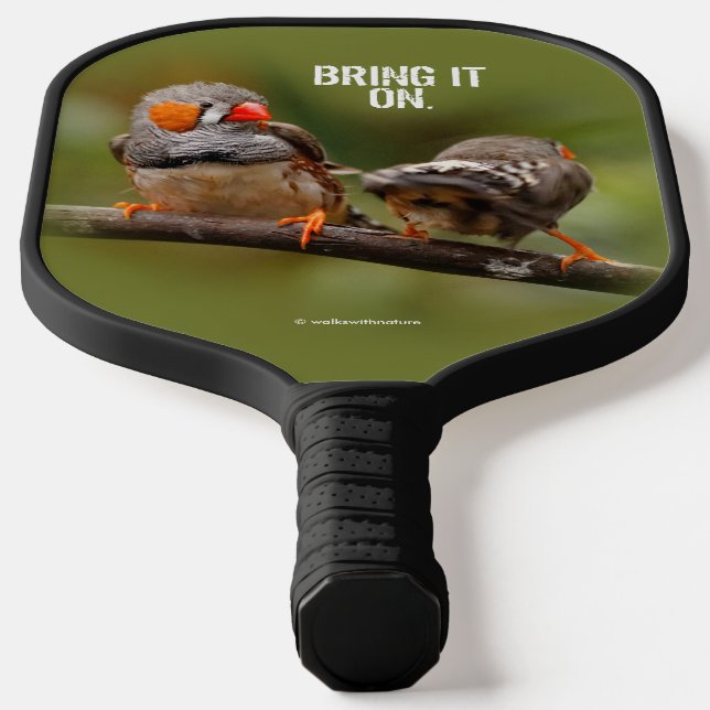 Raquette De Pickleball Pinsons zèbres effrontés sur une branche chanteuse (Poser)
