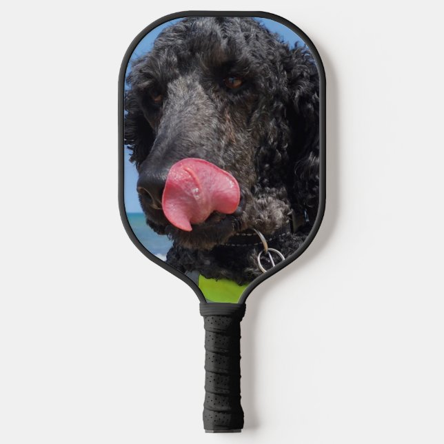 Raquette De Pickleball Poodle standard (Recto)