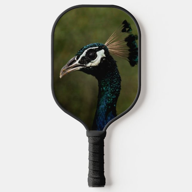 Raquette De Pickleball Profil de Peacock (Recto)