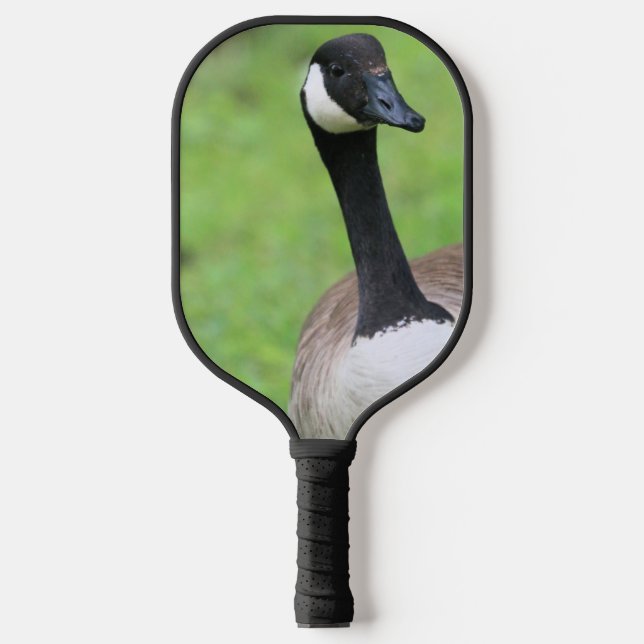 Raquette De Pickleball Quoi ? (Recto)