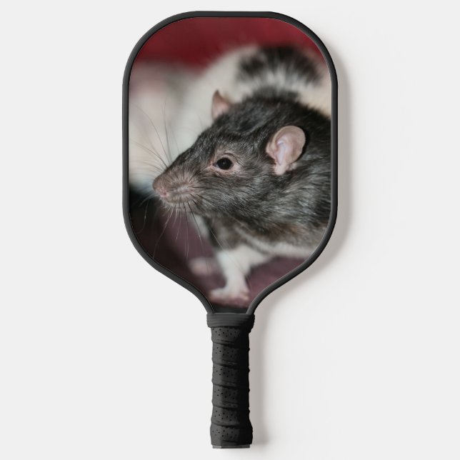 Raquette De Pickleball Rat (Recto)