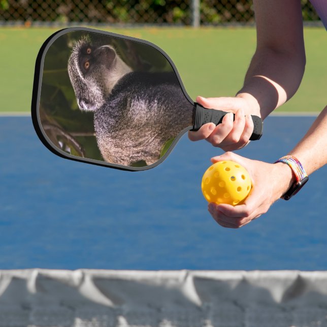 Raquette De Pickleball Singe bleu, Zanzibar (Insitu)