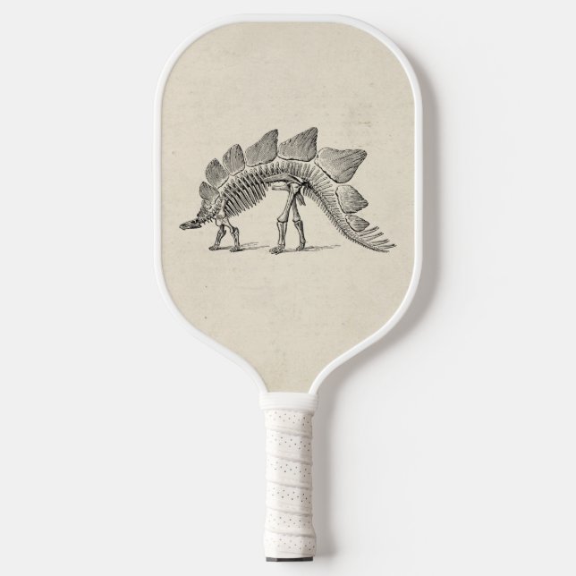 Raquette De Pickleball Stegosaurus Dinosaure Squelette Fossile (Recto)