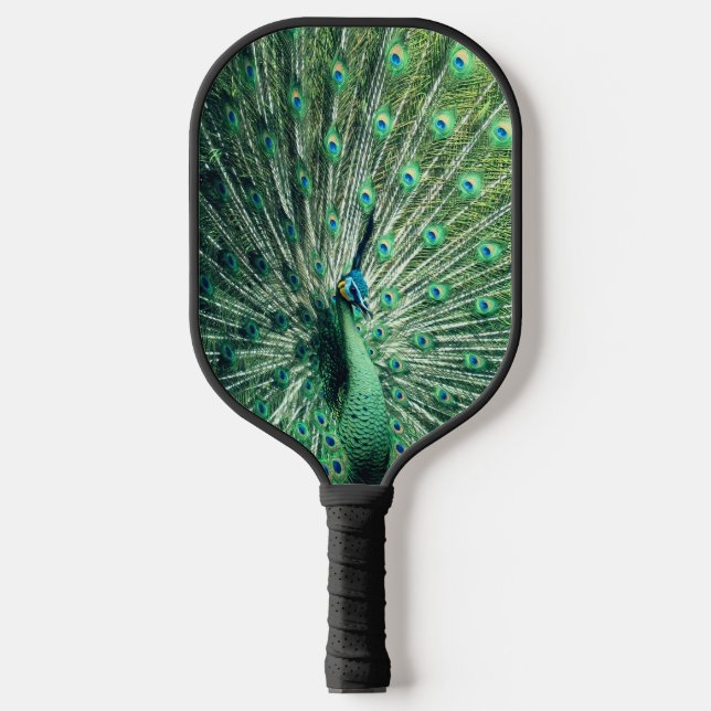 Raquette De Pickleball Strut Peacock (Recto)