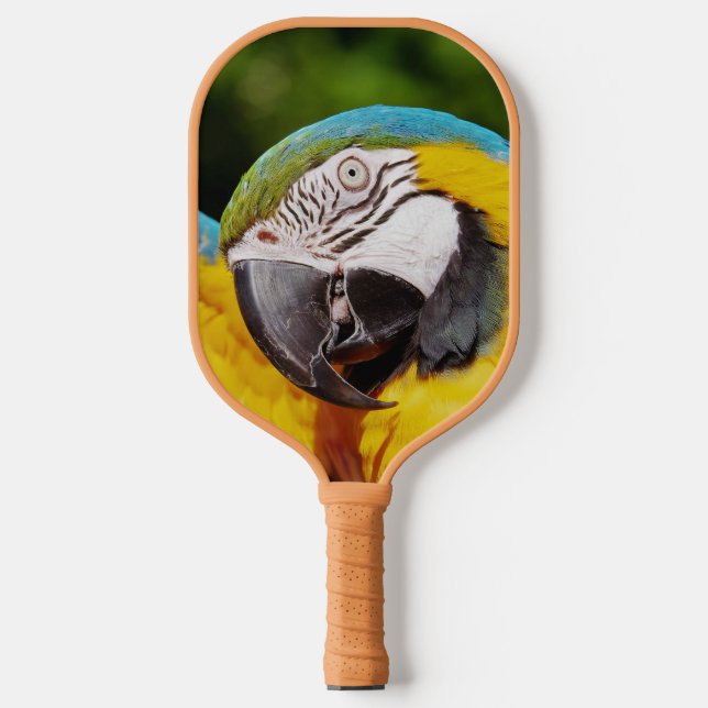 Raquette De Pickleball Tête d'un Macaw bleu et jaune (Recto)