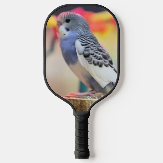 Raquette De Pickleball Touche (Recto)