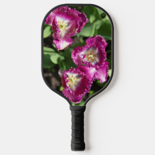 Raquette De Pickleball Tulipes mignonnes pourpres dans le jardin