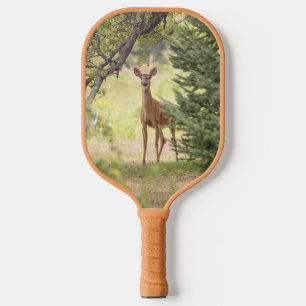 Raquette De Pickleball Un cerf solitaire