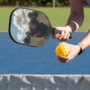 Raquette De Pickleball Vache écossaise de la région montagneuse noire pât