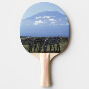 Raquette De Ping Pong Afrique, Kenya, Parc national d'Amboseli, Troupeau