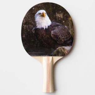 Raquette De Ping Pong Aigle de Bald