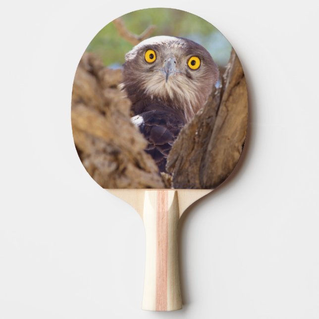Raquette De Ping Pong Aigle huppard (Devant)