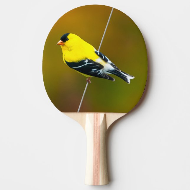 Raquette De Ping Pong American Goldfinch - Photo originale (Devant)