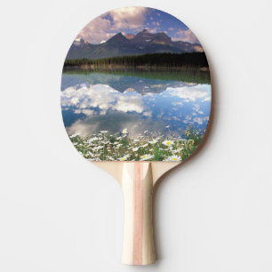 Raquette De Ping Pong Amérique du Nord, Canada, Alberta, Parc national d