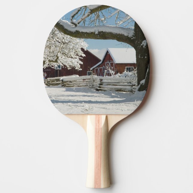 Raquette De Ping Pong Amérique du Nord, États-Unis, WA, île Whidbey. 2 (Devant)