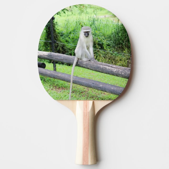 Raquette De Ping Pong Animal Singe Sauvage (Devant)