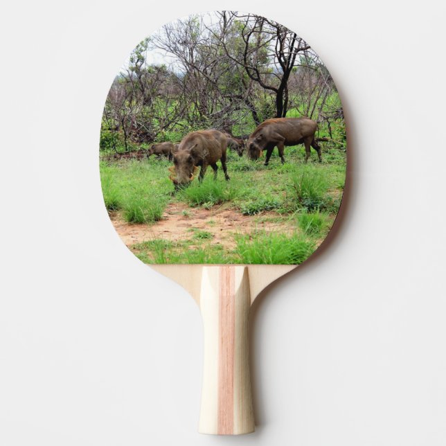 Raquette De Ping Pong Animaux sauvages de la phacochère (Devant)