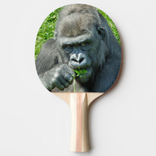 RAQUETTE DE PING PONG ANIMAUX SAUVAGES - GORILLAS
