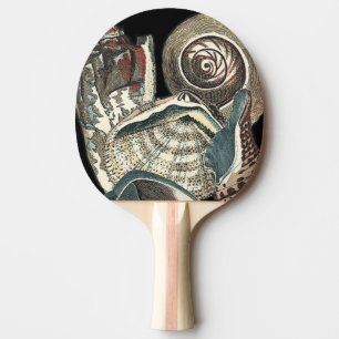 Raquette De Ping Pong Anthologie de coquillage