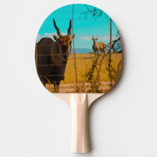 Raquette De Ping Pong Antilope Eland Animal Afrique du Sud ZA